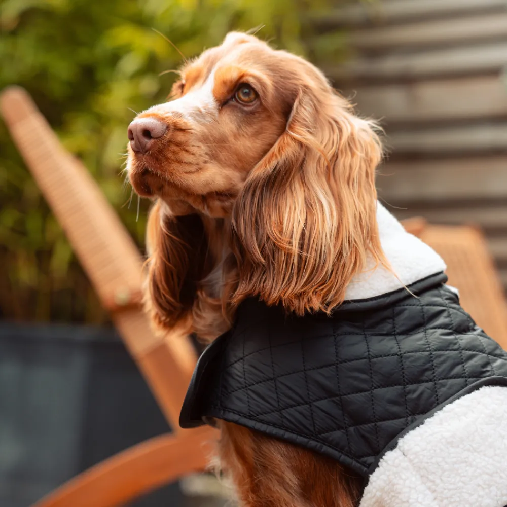 Cocopup Coats ❄️-LUXE Quilted Dog Coat - Midnight Black