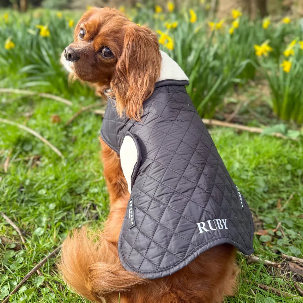 Cocopup Coats ❄️-LUXE Quilted Dog Coat - Midnight Black