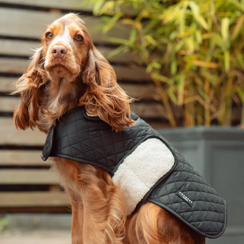 Cocopup Coats ❄️-LUXE Quilted Dog Coat - Midnight Black
