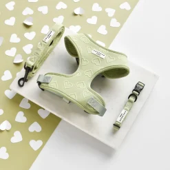 Cocopup Adjustable Harness Bundles-Luxe Sage Heart Adjustable Neck Harness, Lead & Collar Bundle