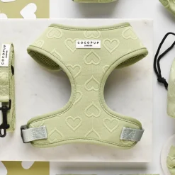 Cocopup Adjustable Harness Bundles-Luxe Sage Heart Adjustable Neck Harness, Lead & Collar Bundle