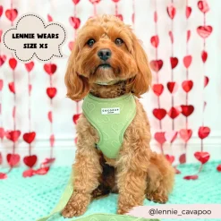 Cocopup Adjustable Harness Bundles-Luxe Sage Heart Adjustable Neck Harness, Lead & Collar Bundle