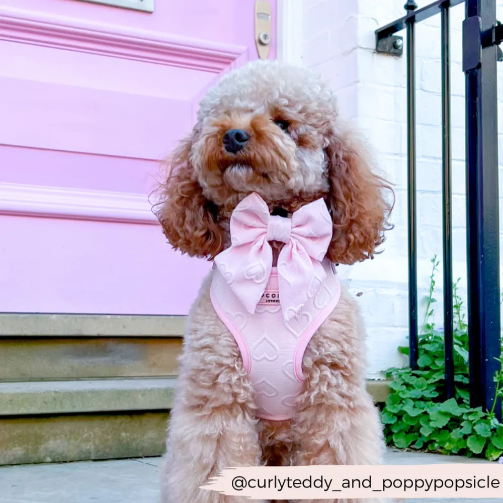 Cocopup Sailor Bow Ties-Luxe Sailor Bow Tie - Baby Pink Heart