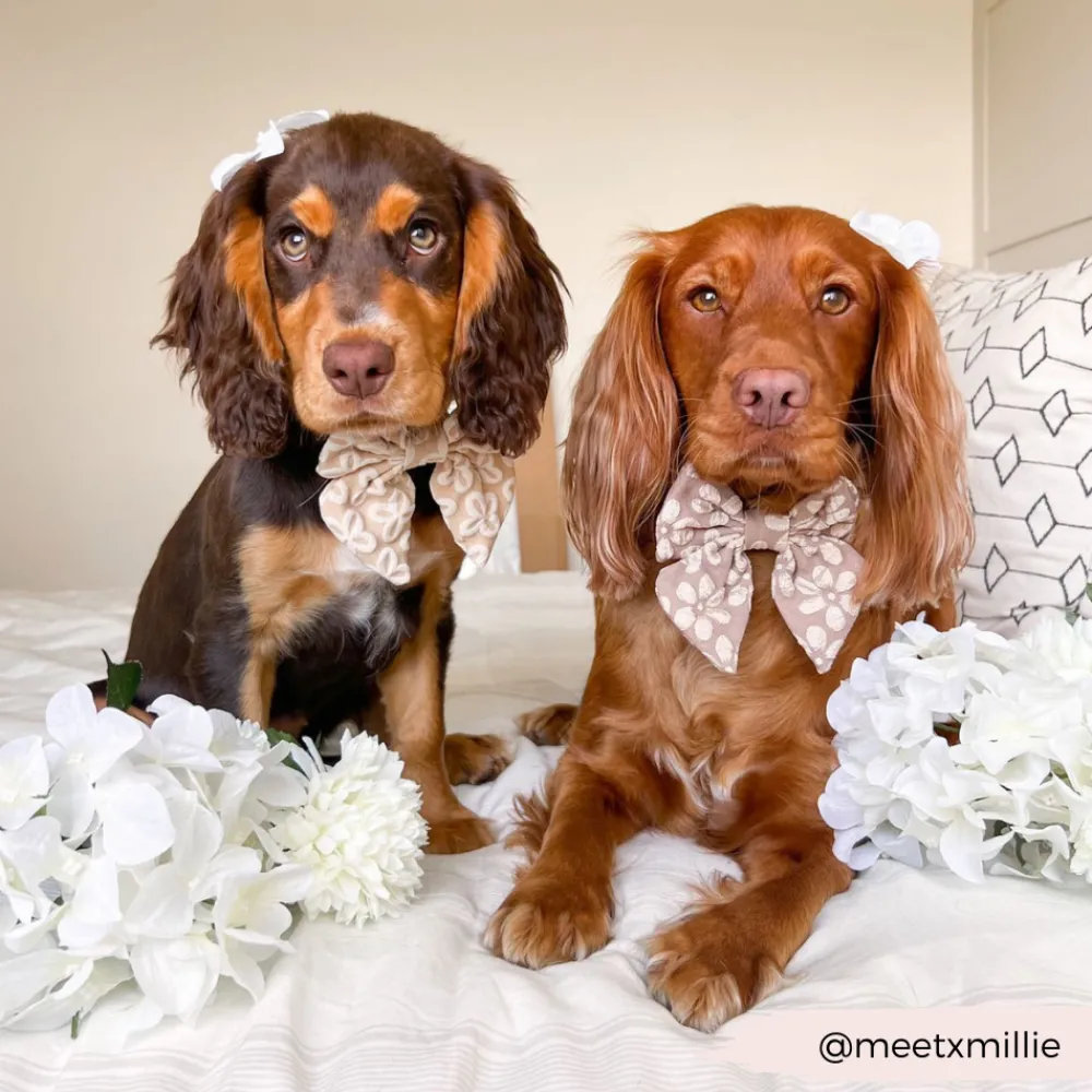 Cocopup Sailor Bow Ties | Bow Ties-Luxe Sailor Bow Tie - Mocha Flower