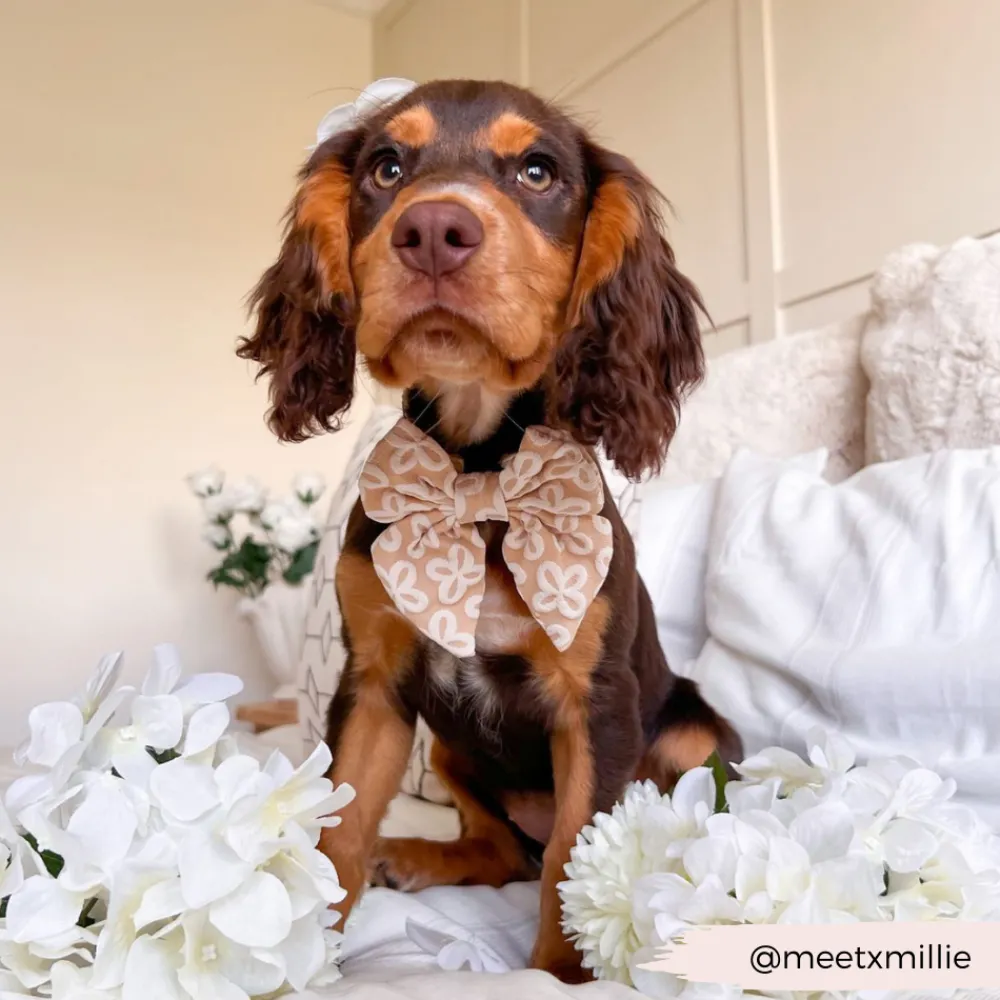 Cocopup Sailor Bow Ties | Bow Ties-Luxe Sailor Bow Tie - Mocha Flower