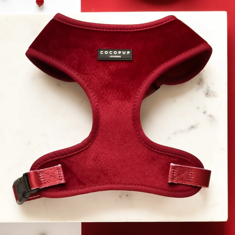 Cocopup Adjustable Neck Harnesses-LUXE Velvet Adjustable Neck HARNESS - Berry Red
