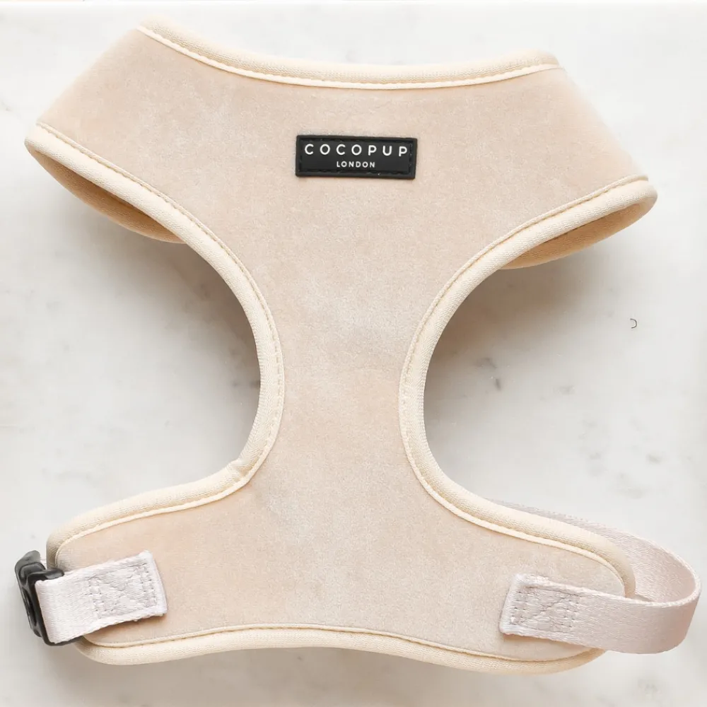 Cocopup Adjustable Neck Harnesses | Special Occassion Harnesses ✨-Luxe Velvet Adjustable Neck HARNESS - Champagne