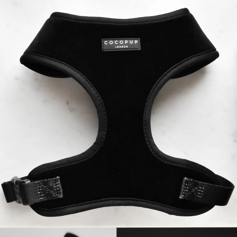 Cocopup Adjustable Neck Harnesses-Luxe Velvet Adjustable Neck HARNESS - Noir