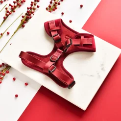 Cocopup Adjustable Neck Harnesses-LUXE Velvet Adjustable Neck HARNESS - Berry Red