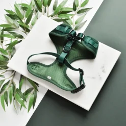 Cocopup Adjustable Neck Harnesses-LUXE Velvet Adjustable Neck HARNESS - Forest Green