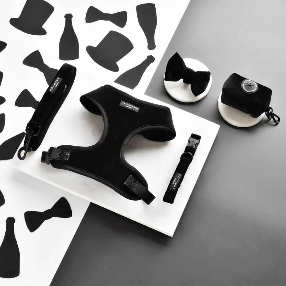 Cocopup Adjustable Neck Harnesses-Luxe Velvet Adjustable Neck HARNESS - Noir