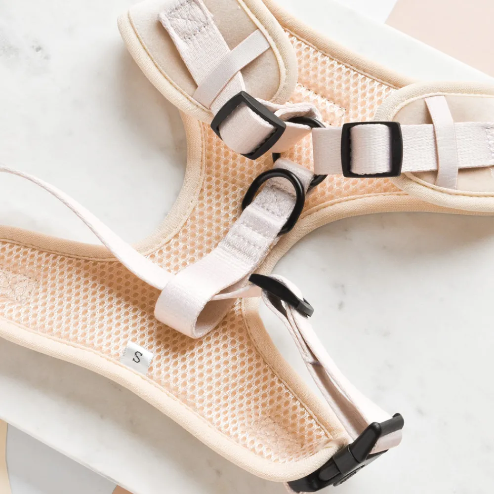Cocopup Adjustable Harness Bundles | Special Occassion Harnesses ✨-Luxe Velvet Adjustable Neck Harness, Lead & Collar Bundle - Champagne