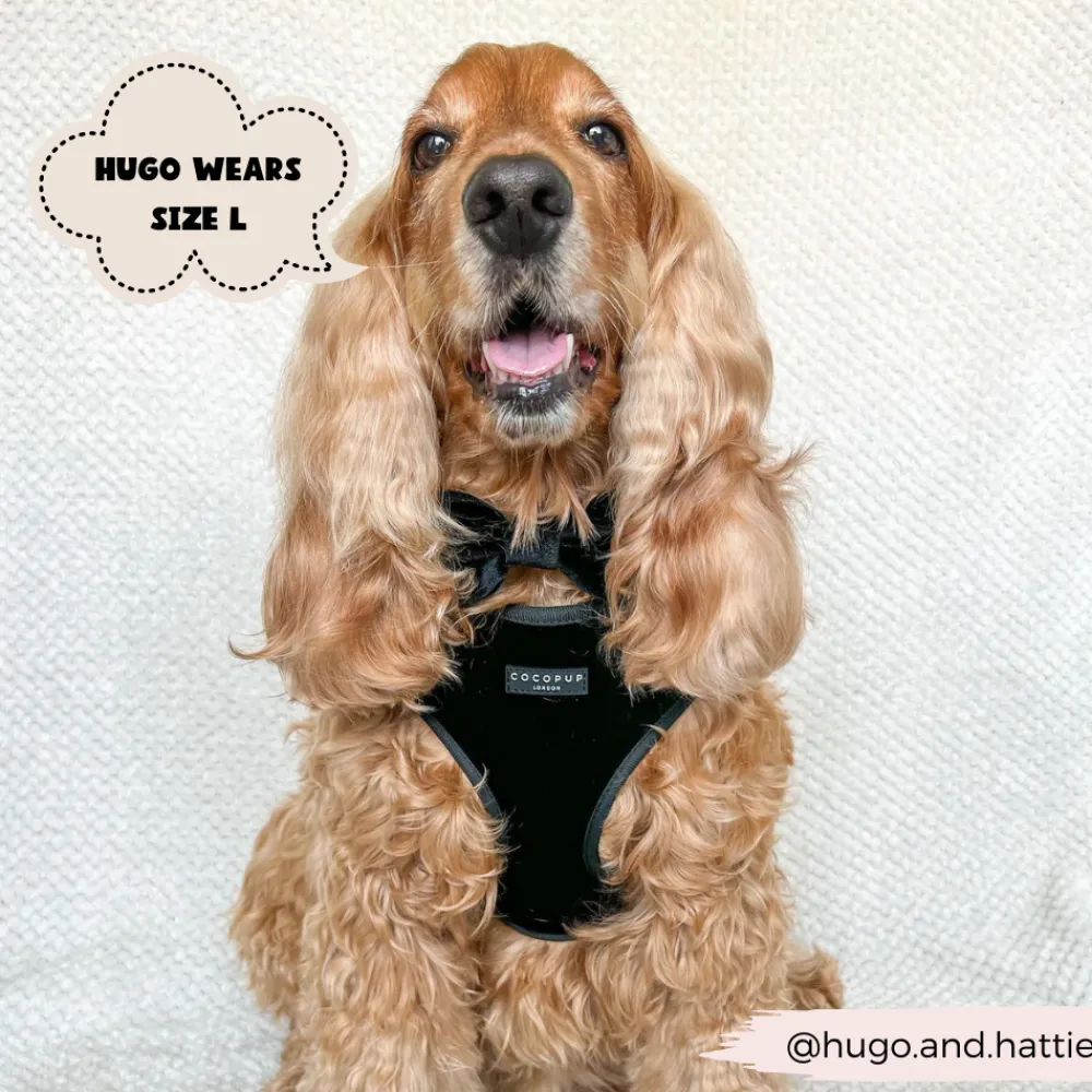 Cocopup Adjustable Harness Bundles-Luxe Velvet Adjustable Neck Harness, Lead & Collar Bundle - Noir