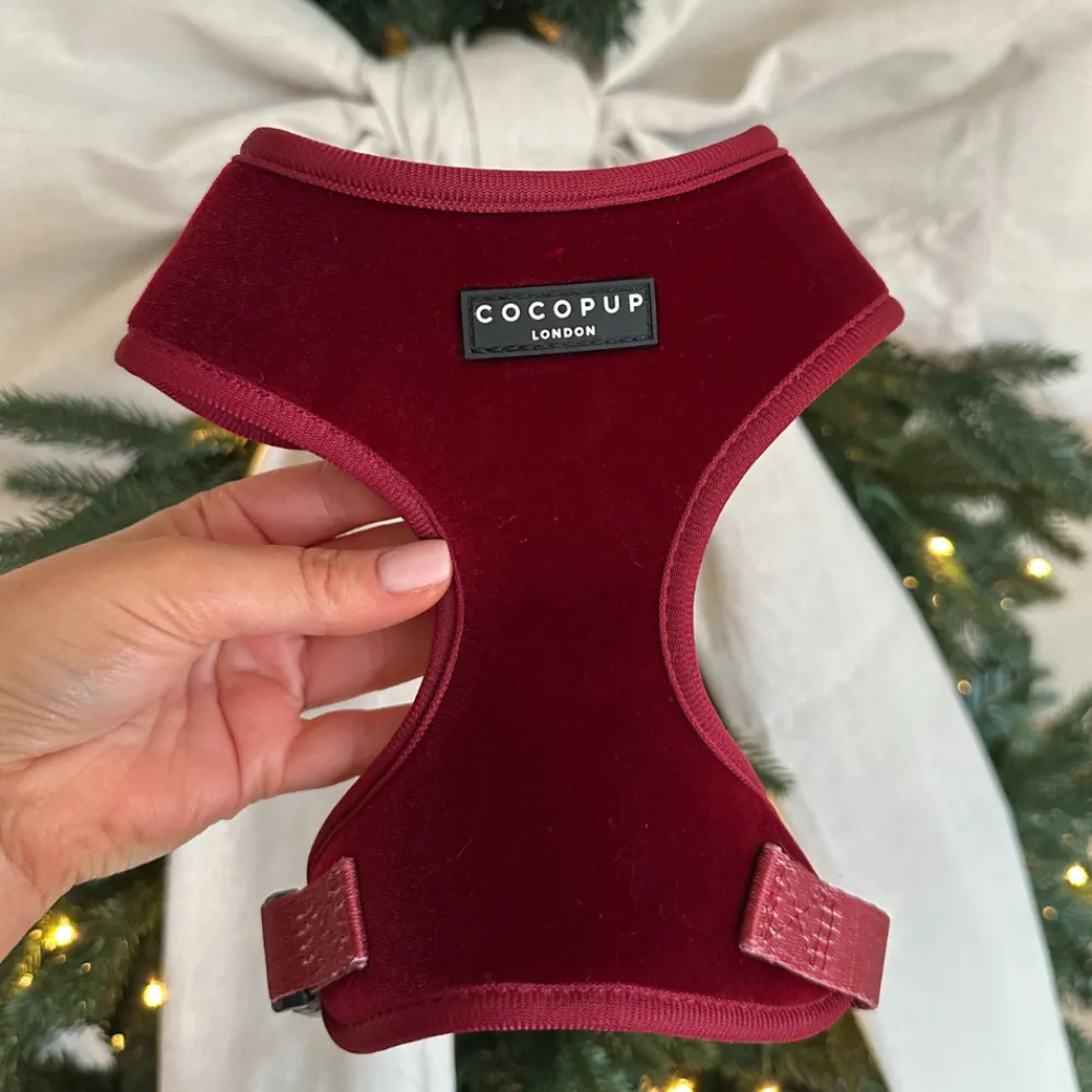 Cocopup Adjustable Neck Harnesses-LUXE Velvet Adjustable Neck HARNESS - Berry Red