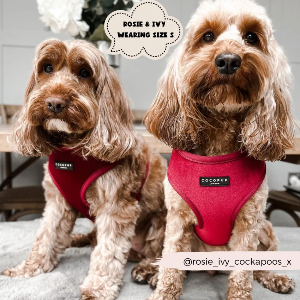 Cocopup Adjustable Neck Harnesses-LUXE Velvet Adjustable Neck HARNESS - Berry Red