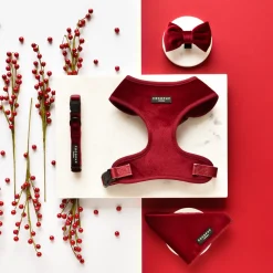 Cocopup Bandanas-LUXE Velvet Bandana - Berry Red