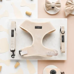Cocopup Bow Ties-Luxe Velvet Bow Tie - Champagne
