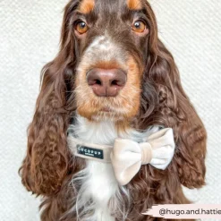 Cocopup Bow Ties-Luxe Velvet Bow Tie - Champagne