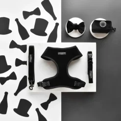 Cocopup Bow Ties-Luxe Velvet Bow Tie - Noir