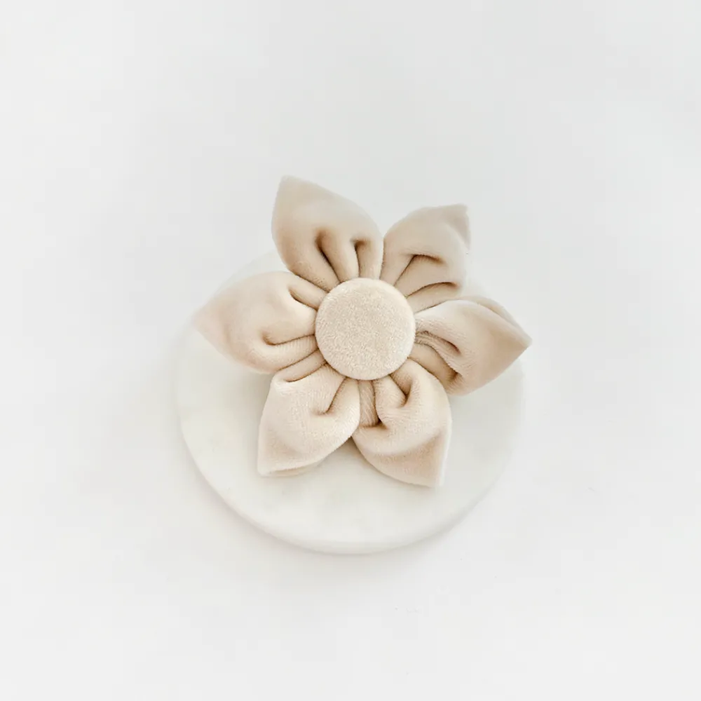 Cocopup Collar Flowers-LUXE Velvet Champagne Collar Flower