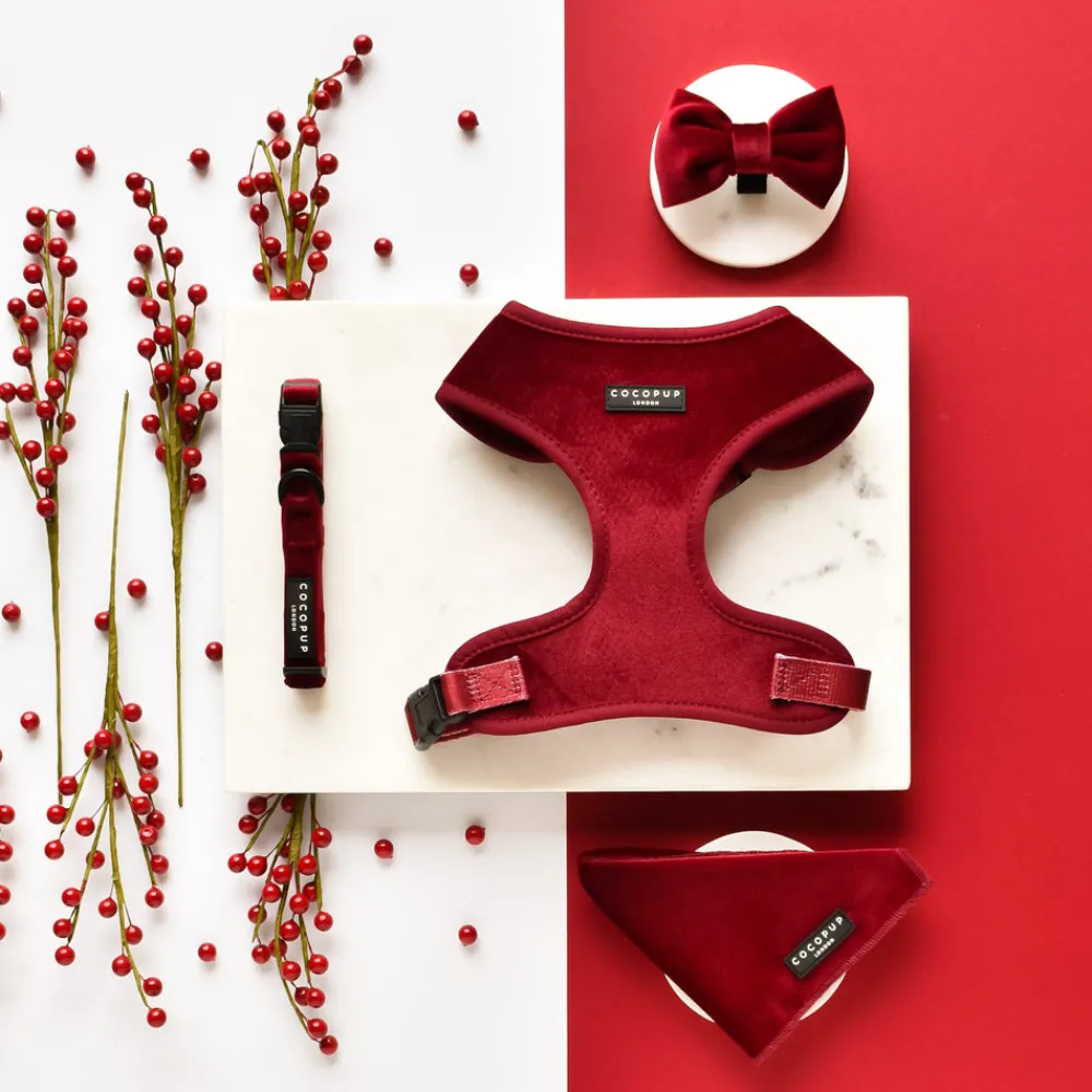 Cocopup Collars | Puppy Leads & Collars-LUXE Velvet COLLAR - Berry Red