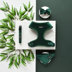 Cocopup Collars | Puppy Leads & Collars-LUXE Velvet COLLAR - Forest Green