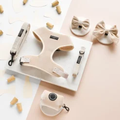 Cocopup Sailor Bow Ties-Luxe Velvet Sailor Bow Tie - Champagne