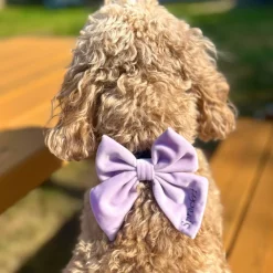 Cocopup Sailor Bow Ties | Personalised Sailor Bow Ties ð-Luxe Velvet Sailor Bow Tie - Lilac