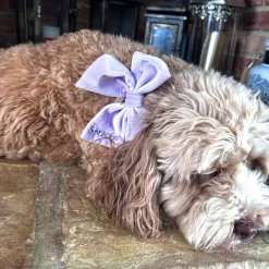 Cocopup Sailor Bow Ties | Personalised Sailor Bow Ties ð-Luxe Velvet Sailor Bow Tie - Lilac