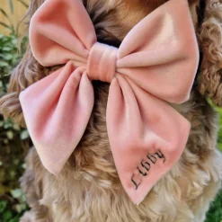 Cocopup Personalised Sailor Bow Ties ð | Sailor Bow Ties-Luxe Velvet Sailor Bow Tie - Baby Pink
