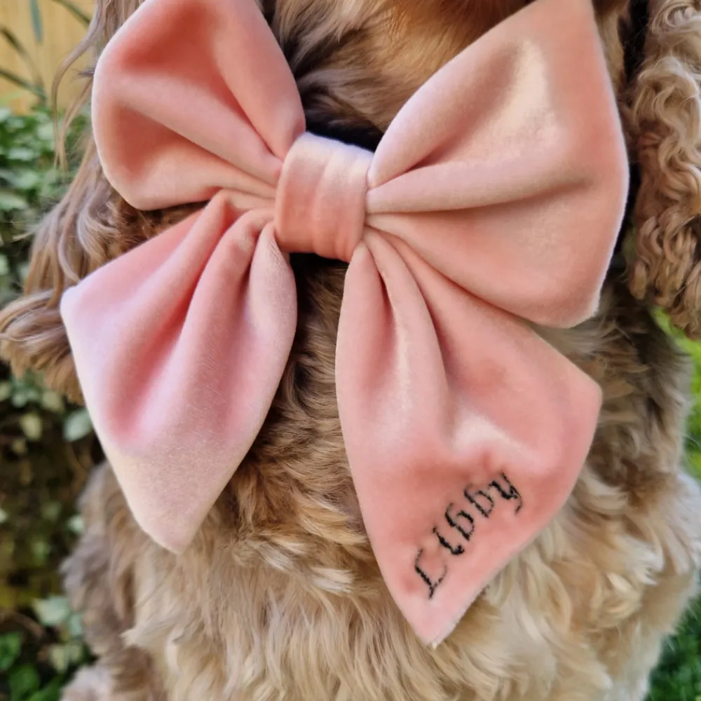 Cocopup Personalised Sailor Bow Ties ð | Sailor Bow Ties-Luxe Velvet Sailor Bow Tie - Baby Pink