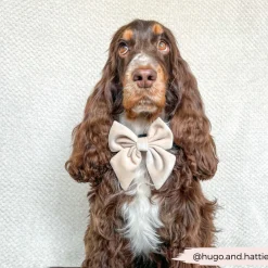 Cocopup Sailor Bow Ties-Luxe Velvet Sailor Bow Tie - Champagne