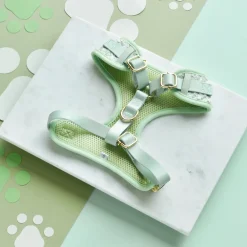 Cocopup Adjustable Neck Harnesses | Special Occassion Harnesses ✨-Matcha Textured Tweed Adjustable Neck HARNESS