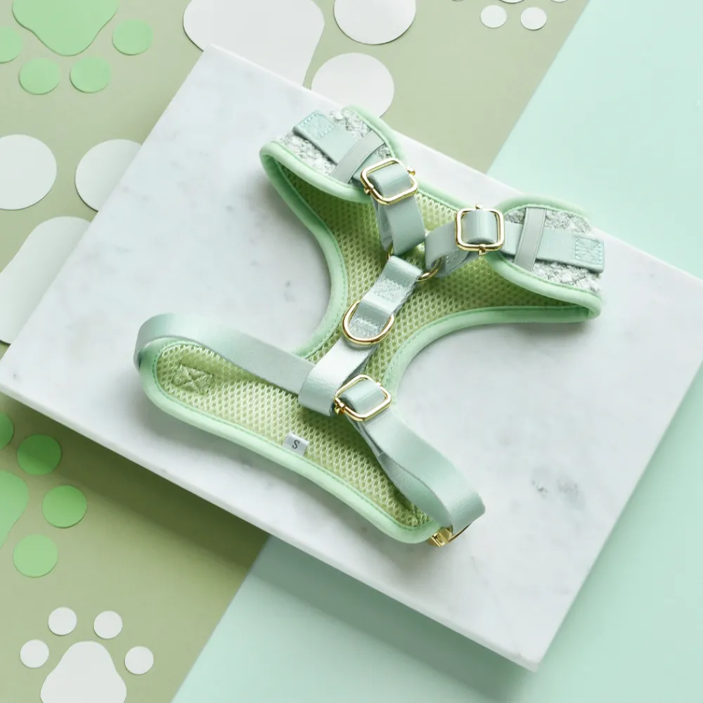 Cocopup Adjustable Neck Harnesses | Special Occassion Harnesses ✨-Matcha Textured Tweed Adjustable Neck HARNESS