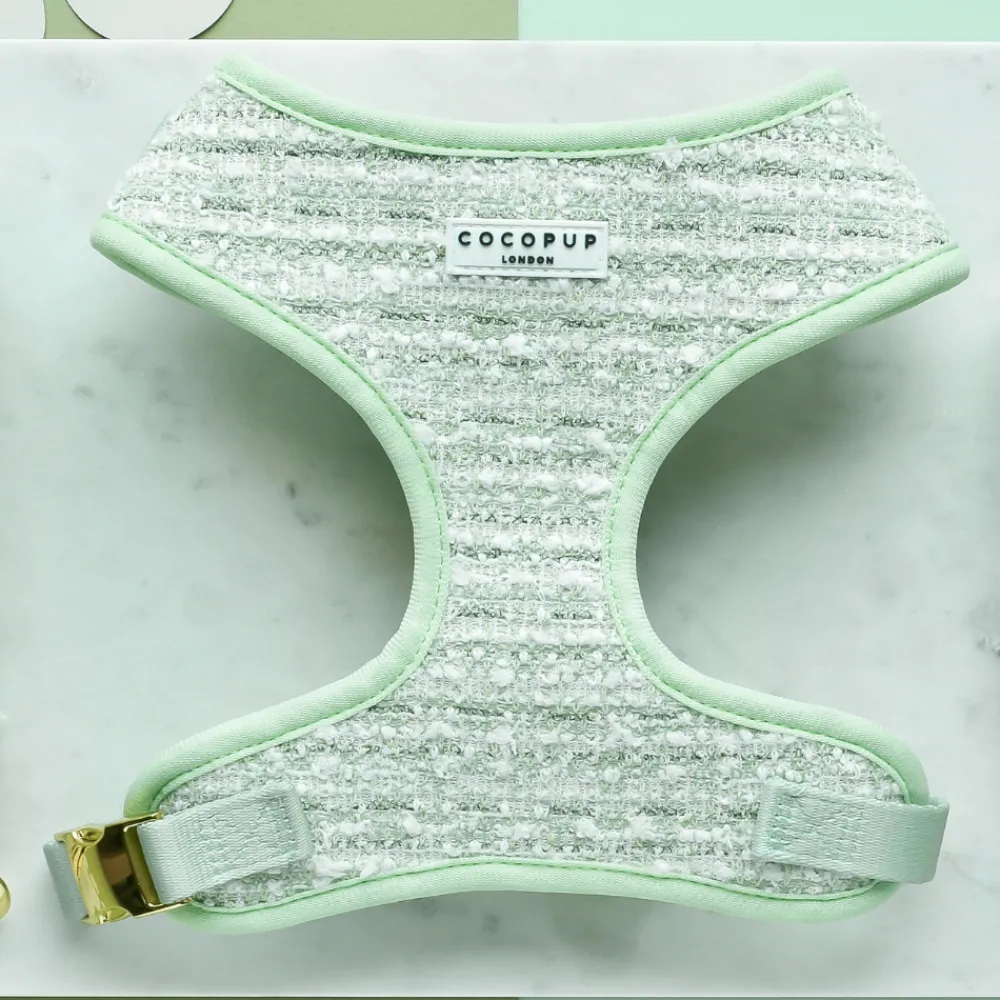 Cocopup Adjustable Harness Bundles | Special Occassion Harnesses ✨-Matcha Textured Tweed Adjustable Neck Harness, Lead & Collar Bundle