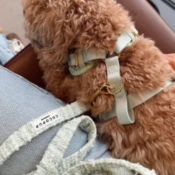 Cocopup Adjustable Neck Harnesses | Special Occassion Harnesses ✨-Matcha Textured Tweed Adjustable Neck HARNESS