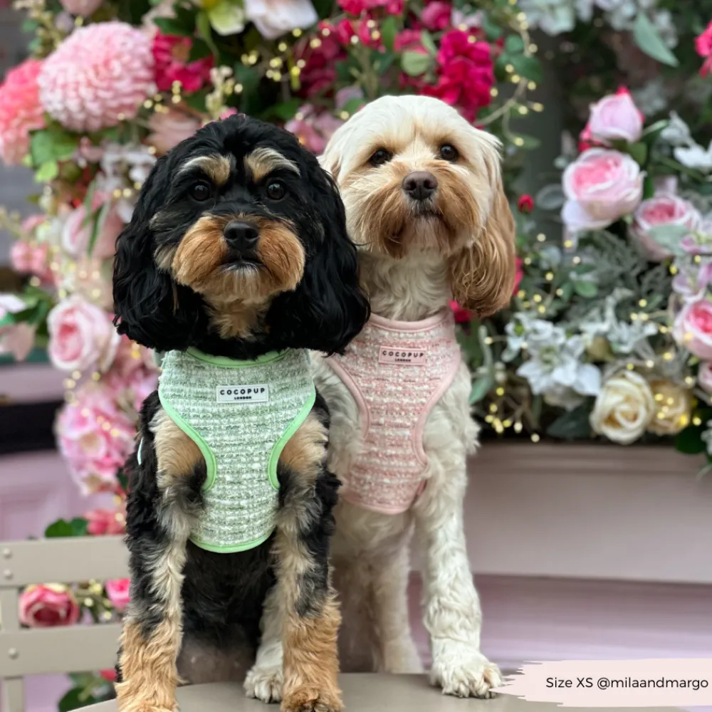 Cocopup Adjustable Neck Harnesses | Special Occassion Harnesses ✨-Matcha Textured Tweed Adjustable Neck HARNESS