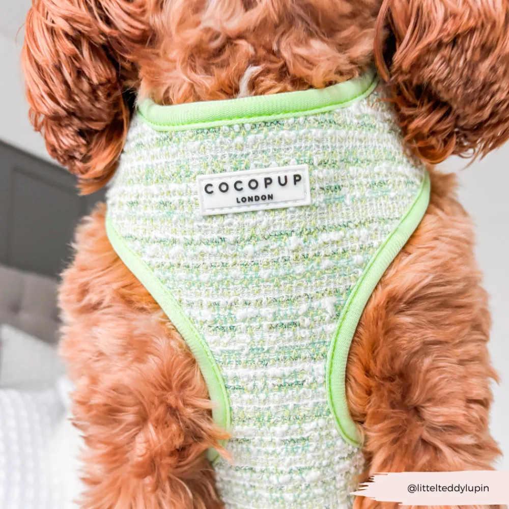 Cocopup Adjustable Harness Bundles | Special Occassion Harnesses ✨-Matcha Textured Tweed Adjustable Neck Harness, Lead & Collar Bundle