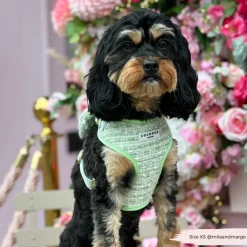 Cocopup Adjustable Neck Harnesses | Special Occassion Harnesses ✨-Matcha Textured Tweed Adjustable Neck HARNESS
