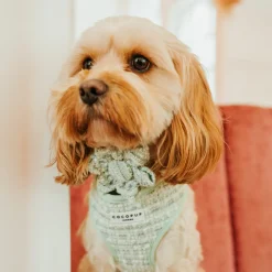 Cocopup Collar Flowers-Matcha Textured Tweed Collar Flower