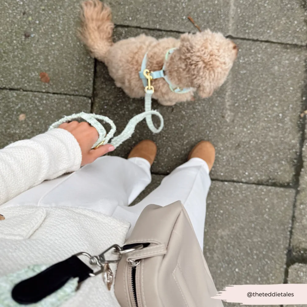 Cocopup Leads-Matcha Textured Tweed Lead
