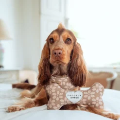 Cocopup Bone Toys 🦴-Mocha Flower Bone Toy
