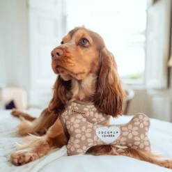 Cocopup Bone Toys 🦴-Mocha Flower Bone Toy