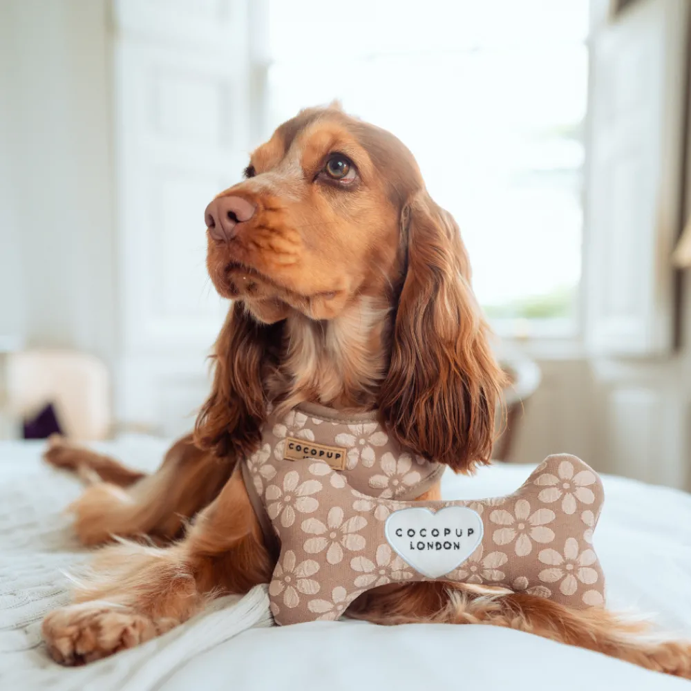 Cocopup Bone Toys 🦴-Mocha Flower Bone Toy