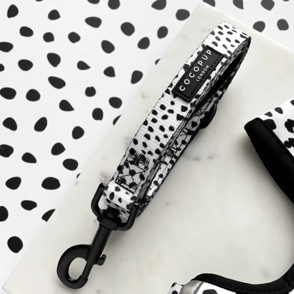Cocopup Adjustable Harness Bundles-Monochrome Spots Adjustable Neck Harness, Lead & Collar Bundle