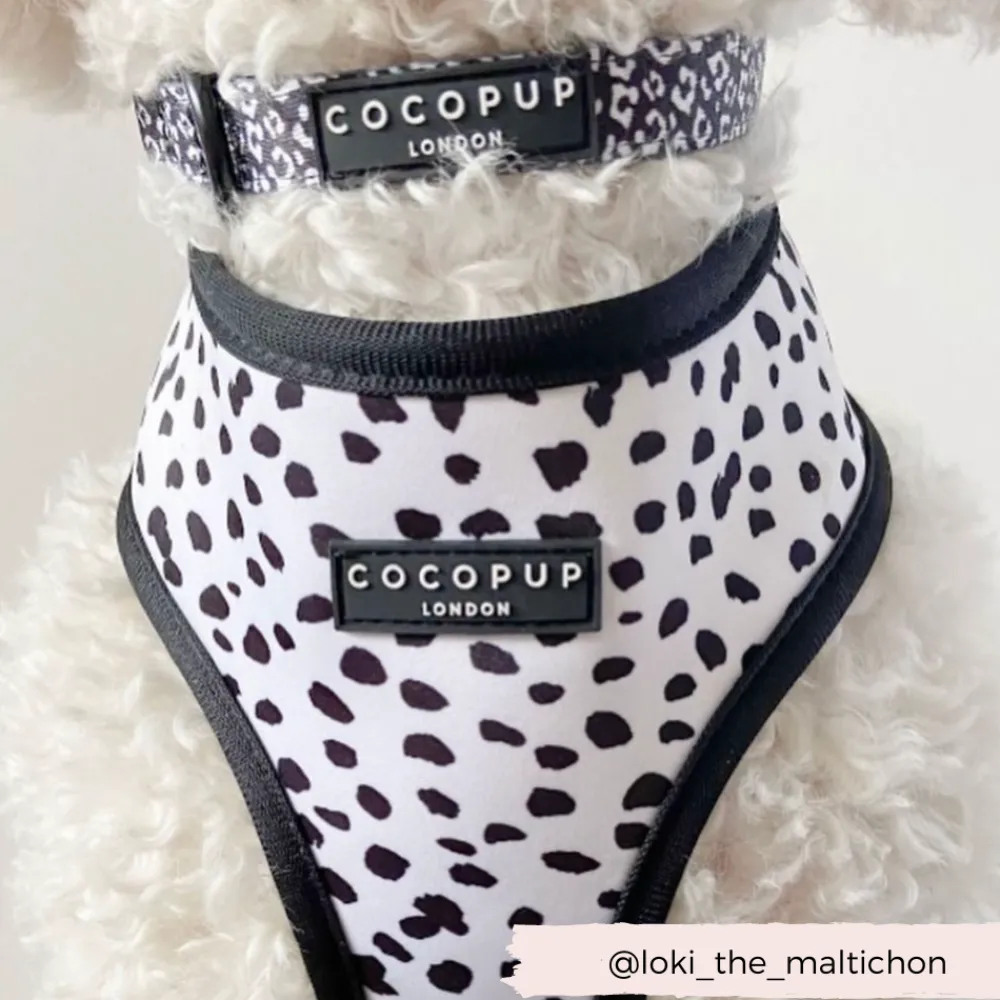 Cocopup Adjustable Harness Bundles-Monochrome Spots Adjustable Neck Harness, Lead & Collar Bundle