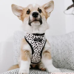 Cocopup Adjustable Neck Harnesses-Monochrome Spots Adjustable Neck HARNESS