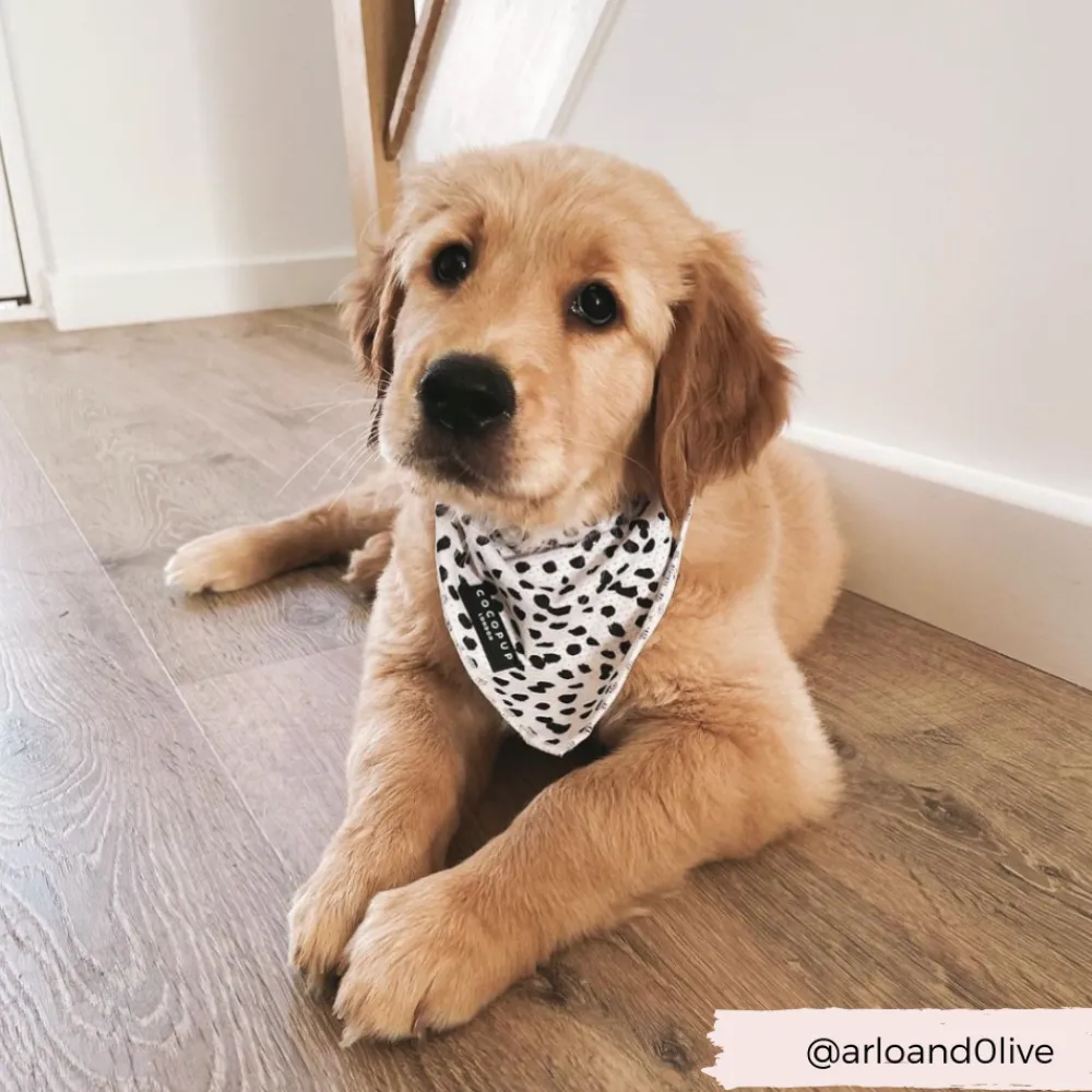 Cocopup Bandanas-Monochrome Spots Bandana