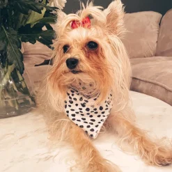 Cocopup Bandanas-Monochrome Spots Bandana