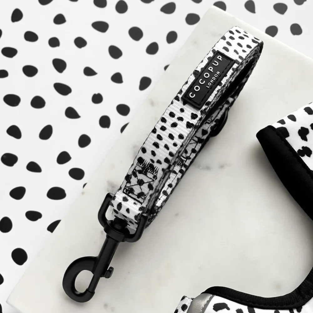 Cocopup Leads-Monochrome Spots Lead